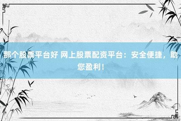 那个股票平台好 网上股票配资平台：安全便捷，助您盈利！