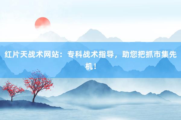 红片天战术网站：专科战术指导，助您把抓市集先机！