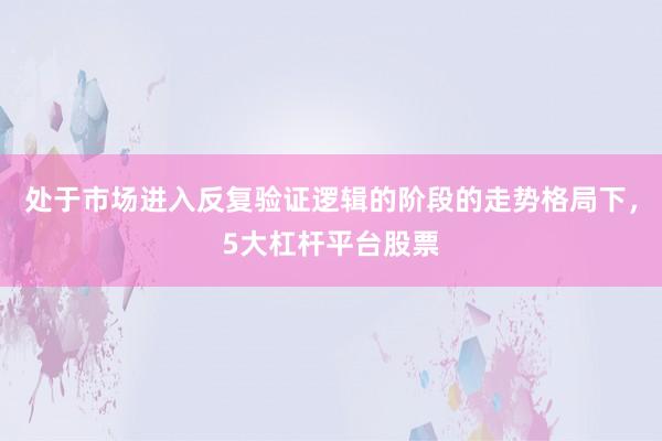 处于市场进入反复验证逻辑的阶段的走势格局下,5大杠杆平台股票