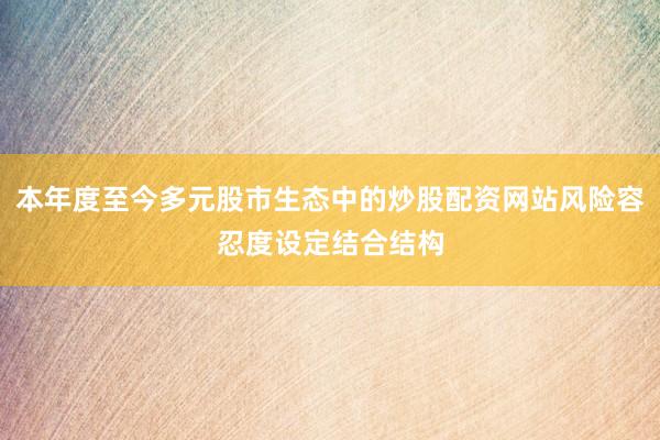 本年度至今多元股市生态中的炒股配资网站风险容忍度设定结合结构