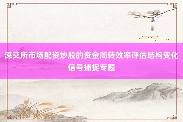 深交所市场配资炒股的资金周转效率评估结构变化信号捕捉专题