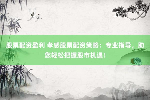 股票配资盈利 孝感股票配资策略：专业指导，助您轻松把握股市机遇！