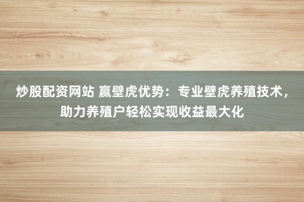 炒股配资网站 赢壁虎优势：专业壁虎养殖技术，助力养殖户轻松实现收益最大化